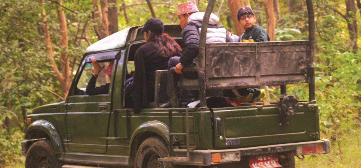 पर्यटक कुर्दै बाँके राष्ट्रिय निकुञ्ज, जङ्गल सफारी गरियो खुला Image