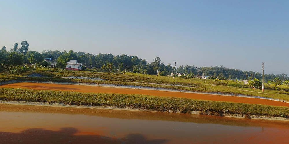 दुई करोडभन्दा बढी माछाका भुरा उत्पादन Image