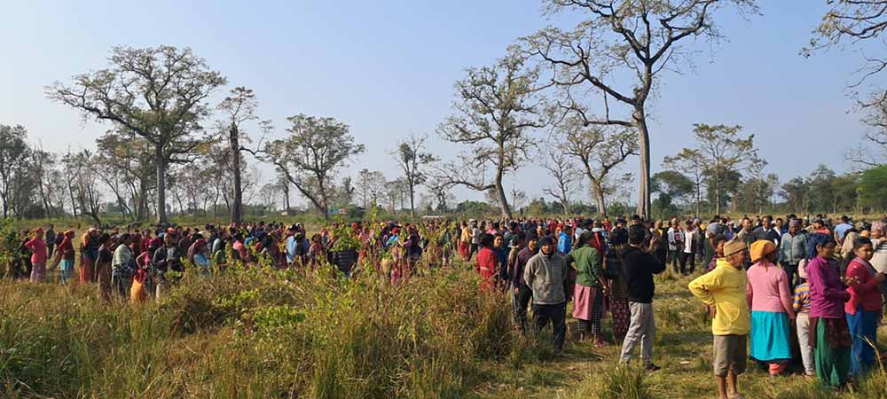 बाघको आक्रमणबाट बर्दियामा एक जनाको मृत्यु Image
