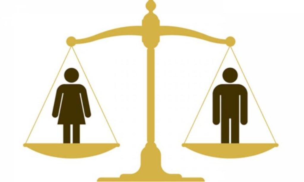 लैङ्गिक समानताको नीति उपलब्धिका लागि प्रयासरत Image