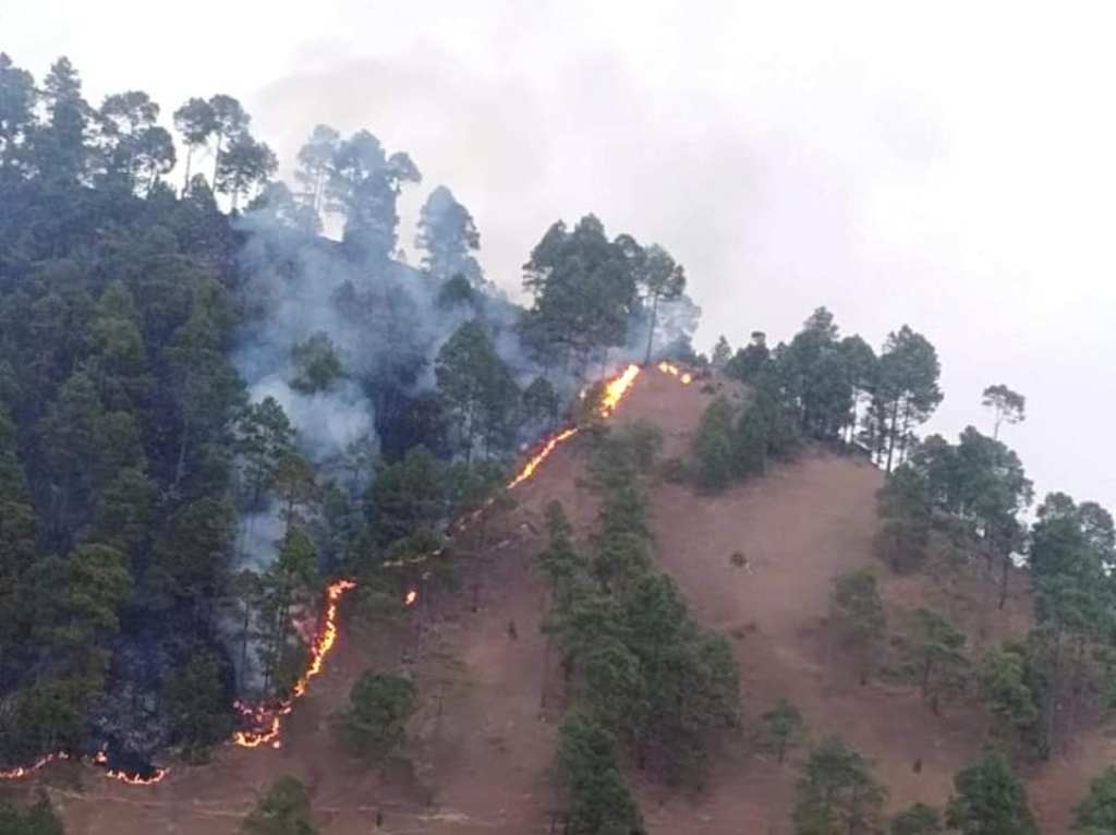 माघमा मात्रै देशभर चार सय ७८ आगलागीका घटनाः २२ को मृत्यु, ८७ जना घाइते Image