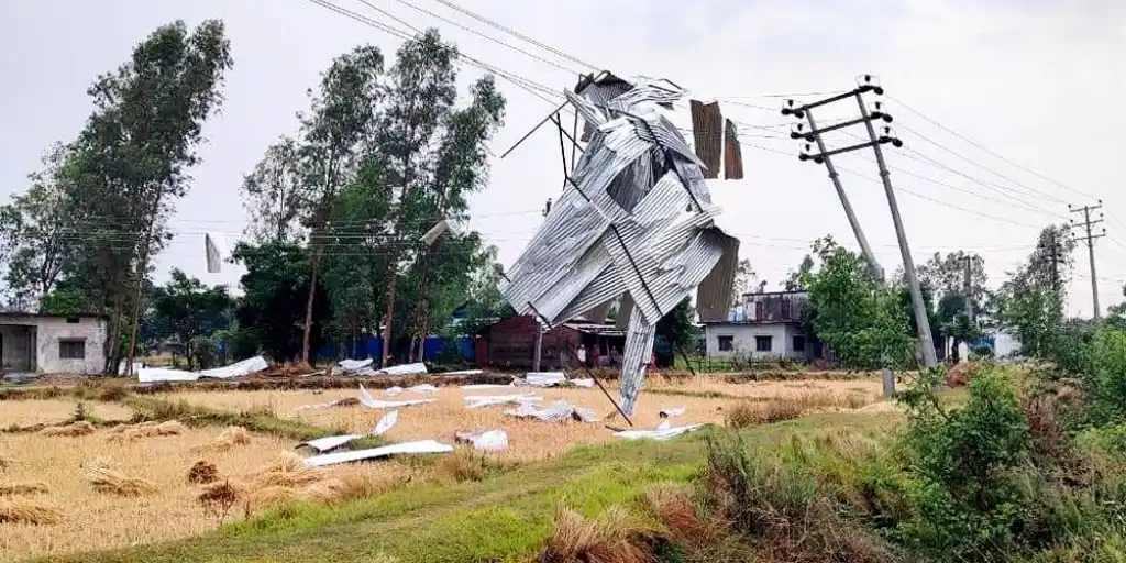 हावाहुरीको वितण्डाः बिद्युत पोल र बोटविरुवा ढले, टिनका छाना उडे Image