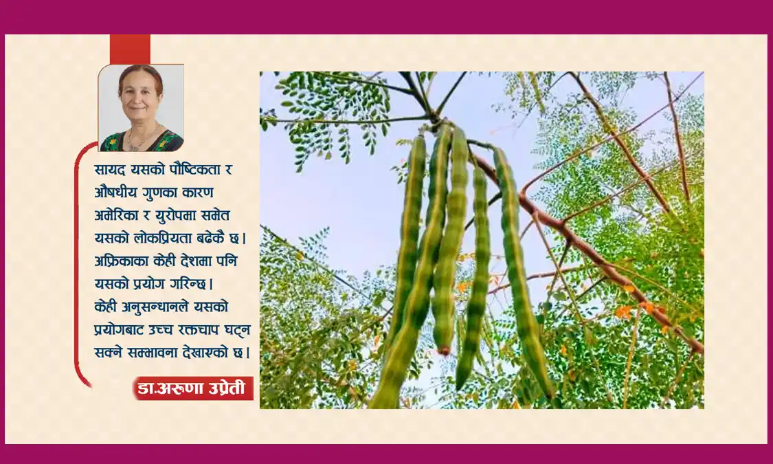 सञ्जीवनीसरह सितलचिनी Image