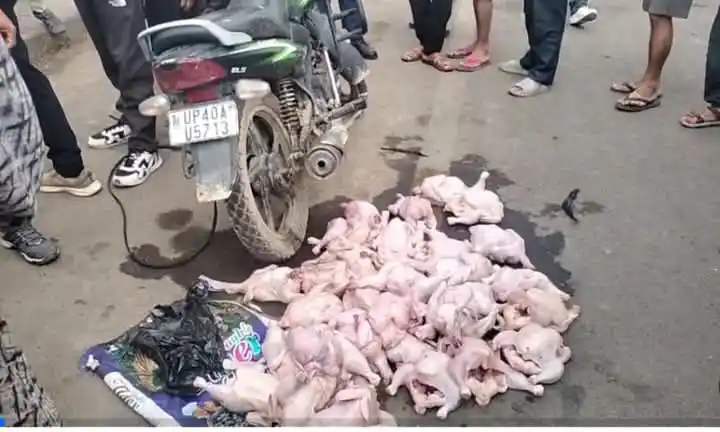रोकिएन भारतीय अबैध कुखुराको तस्करी र कारोबार Image