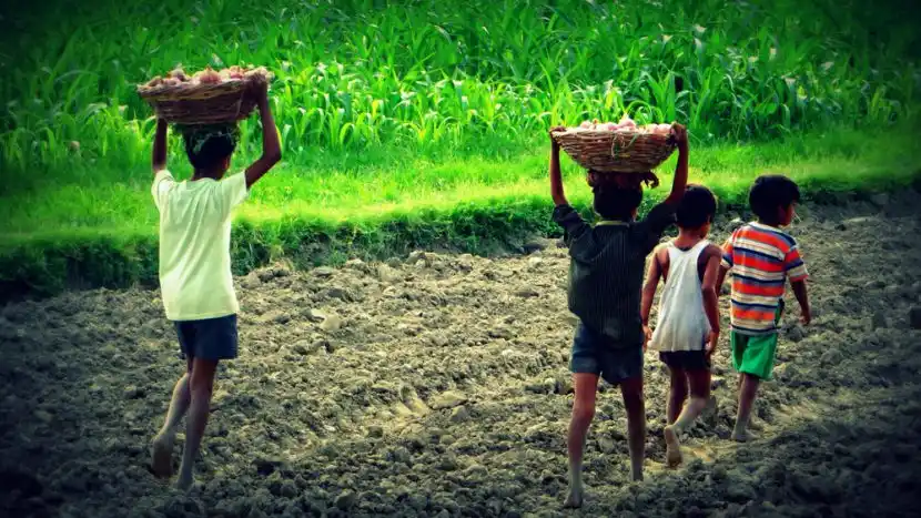 नेपालगन्जमा बालश्रमिक राख्ने चलन रोकिएन