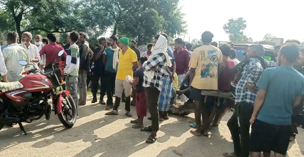 लो भोल्टेजका कारण नरैनापुरमा रोपाइँ प्रभावित