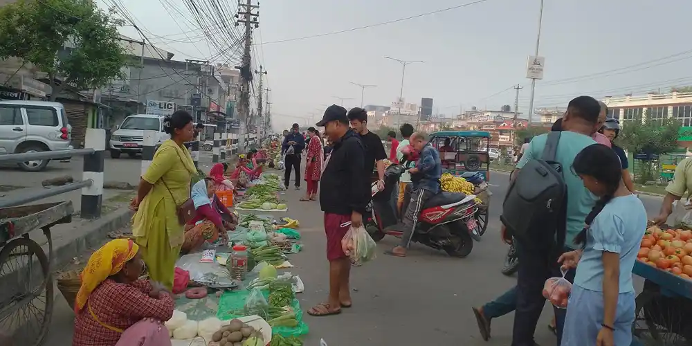 थारू महिलाको पौरख : नेपालगञ्जलाई अर्ग्यानिक स्वाद Image
