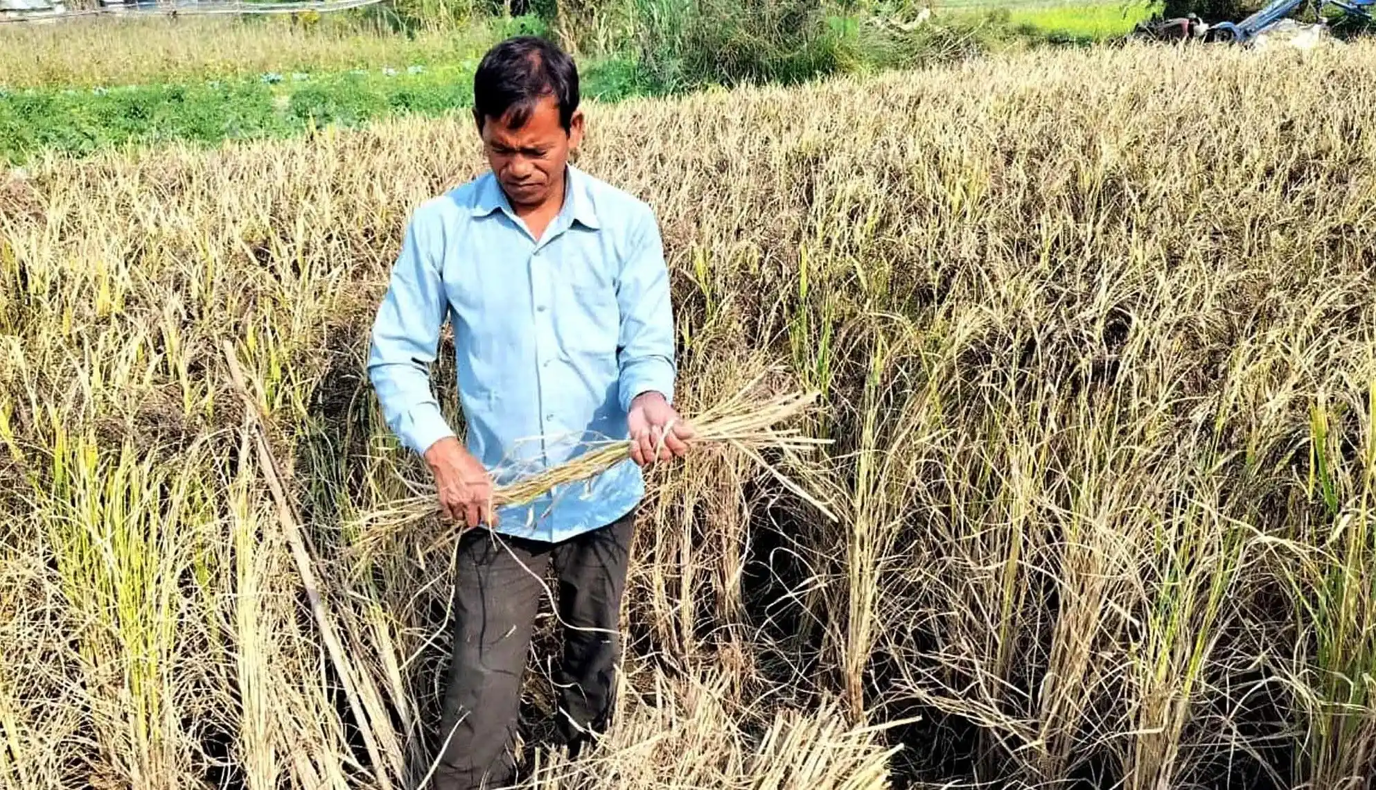 लोपोन्मुख कालानमक धानको संरक्षणमा सक्रिय बैजनाथका गंगानारायण चौधरी Image