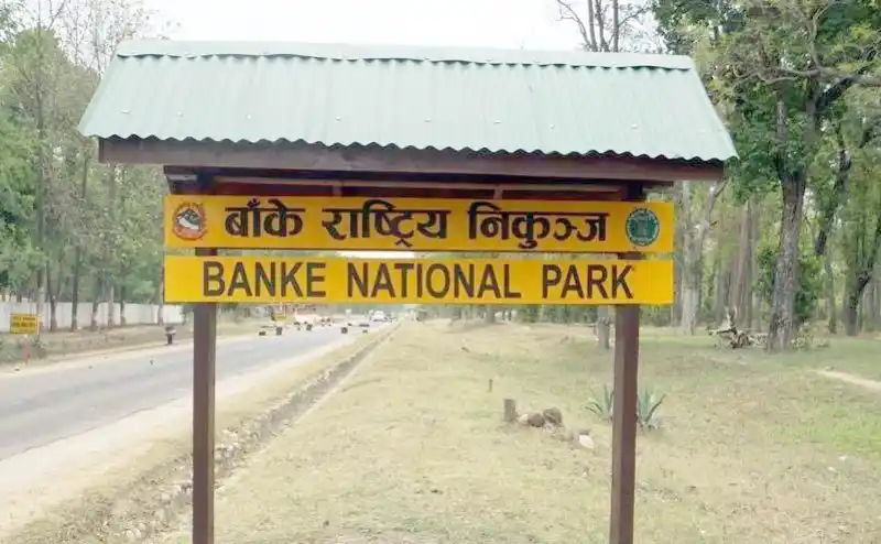 बाँके राष्ट्रिय निकुञ्जभित्रका १० बस्ती स्थानान्तरण गर्न सिफारिस Image