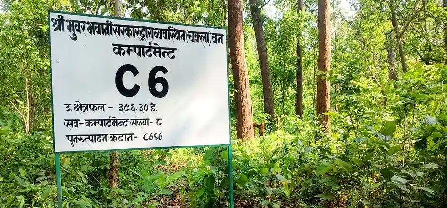 बाँकेमा चक्ला वनको संख्या तीन पुग्यो Image
